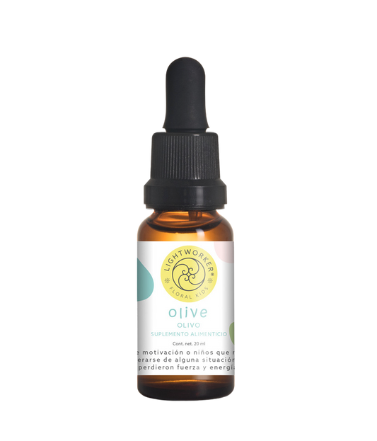 Olive/ Olivo